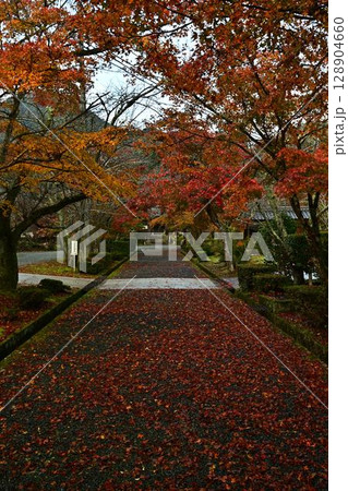 三寳寺の紅葉 三寳寺の紅葉 128904660