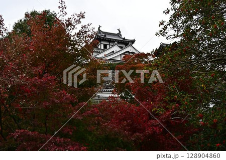福知山城の紅葉 福知山城の紅葉 128904860
