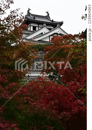 福知山城の紅葉 128904863