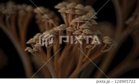 Macro close-up of dried wildflowers in warm tones. Soft focus and natural lighting give a dreamy, nostalgic atmosphere. Generative AI. 128905722
