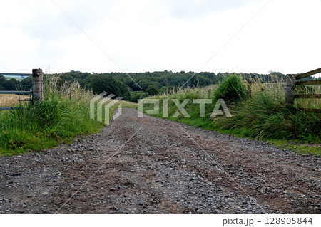Rough Farm Track in a Rural Location on a Summer Morning Rough Farm Track in a Rural Location on a Summer Morning 128905844