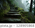 Moss-Covered Mountain Stone Steps Leading into Fog and Forest from a Low Angle Perspective 128905868