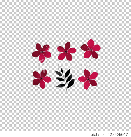 Red flowers and black leaf arranged in minimalist pattern on transparency background, creating simple and elegant design Red flowers and black leaf arranged in minimalist pattern on transparency background, creating simple and elegant design 128906647