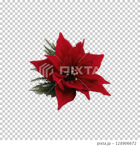 Vibrant red poinsettia flower with lush green leaves, symbolizing holiday cheer and festive decoration, is beautifully displayed against plain background 128906672