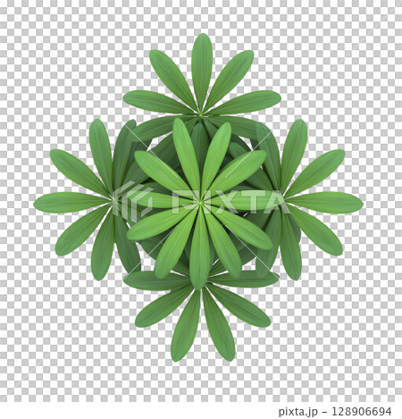 Top view of symmetrical arrangement of green leaves, forming star like pattern. vibrant foliage creates sense of natural beauty and harmony 128906694
