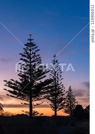 ニュージーランド ホークスベイのヘイスティングス地方にあるワイマラマビーチから見える朝焼け空 ニュージーランド ホークスベイのヘイスティングス地方にあるワイマラマビーチから見える朝焼け空 128906812