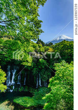 白糸の滝と富士山が彩る緑の絶景 128907339