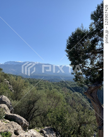 Mountains with a forest under a clear sky Mountains with a forest under a clear sky 128907426