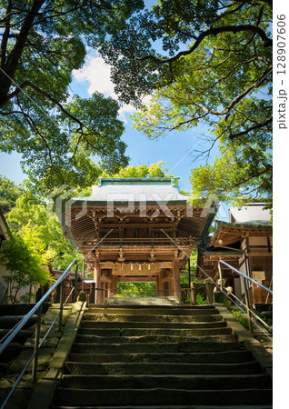 新緑に包まれた神社の美しい門 新緑に包まれた神社の美しい門 128907606