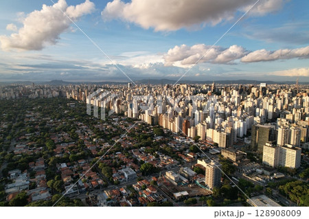 Sao Paulo skyline showcasing urban landscape and sprawling city life 128908009