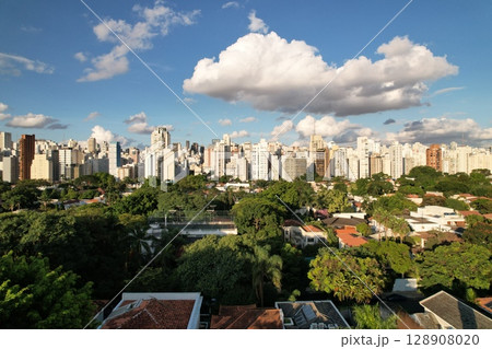 View of Sao Paulo skyline with clouds and greenery during daytime View of Sao Paulo skyline with clouds and greenery during daytime 128908020