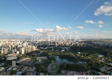Sao Paulo skyline with lush greenery and urban landscape during daytime 128908023