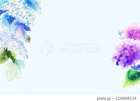 雨上がりの紫陽花 横 ハガキサイズ 雨上がりの紫陽花 横 ハガキサイズ 128908114