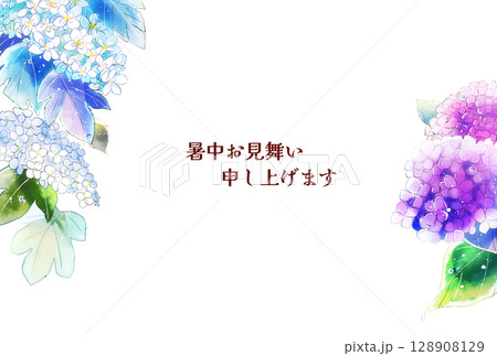 雨上がりの紫陽花　暑中お見舞い　横　ハガキサイズ 128908129