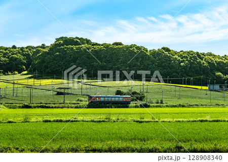 田んぼとお茶畑を背景に走る天竜浜名湖鉄道, 128908340