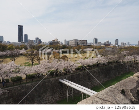 大阪城と桜 大阪城と桜 128908619