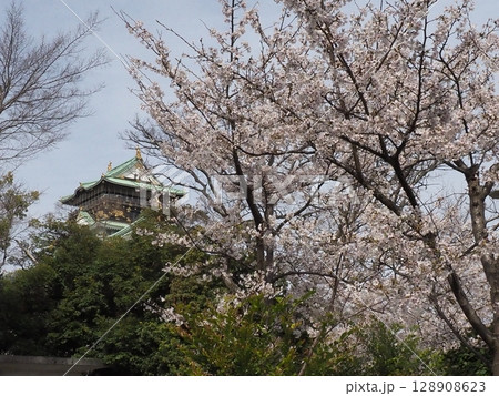 大阪城と桜 大阪城と桜 128908623
