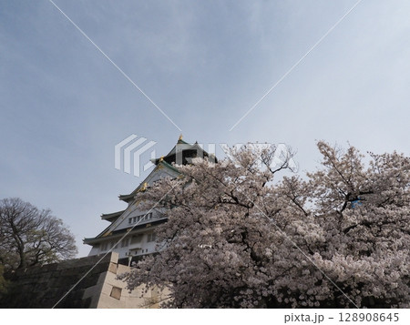 大阪城と桜 128908645
