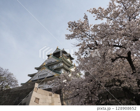 大阪城と桜 128908652