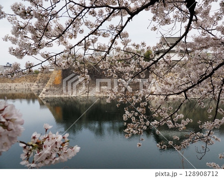 大阪城と桜 大阪城と桜 128908712