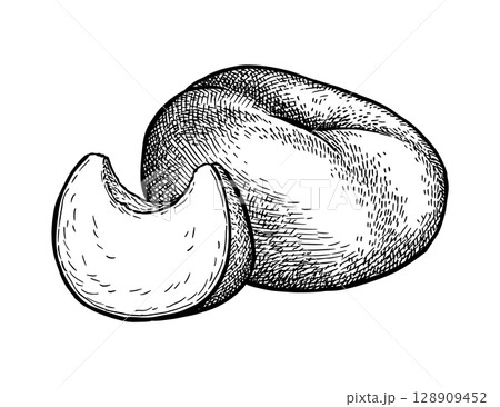 Donut peach with slice ink sketch. 128909452