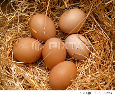 Organic chicken eggs in barn 128909663