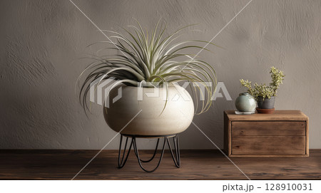 Large air plant round ceramic pot sits black metal stand, placed wooden floor next to wooden cabinet with two smaller potted plants, creating 128910031