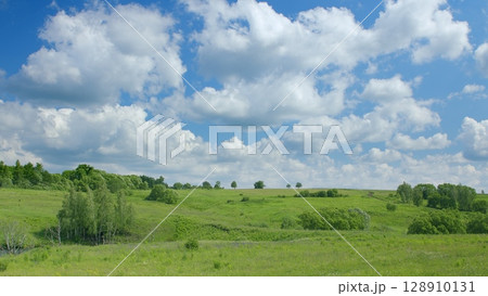 Lush Green Rolling Hills Stretching Out Under a Bright Blue Sky Filled with Fluffy Clouds 128910131