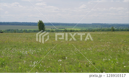 A Beautiful and Vibrant Green Meadow Filled with Wildflowers Beneath a Bright Blue Sky 128910317