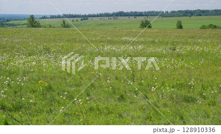 A Stunning and Vibrant Green Meadow Filled with Colorful Wildflowers in Full Blooming Season A Stunning and Vibrant Green Meadow Filled with Colorful Wildflowers in Full Blooming Season 128910336