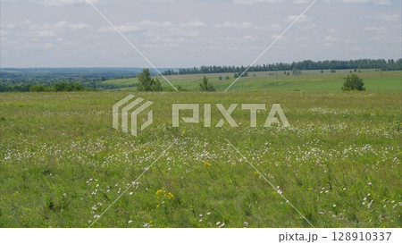 A Vibrant Meadow Landscape featuring Beautiful Wildflowers and Rolling Green Hills 128910337
