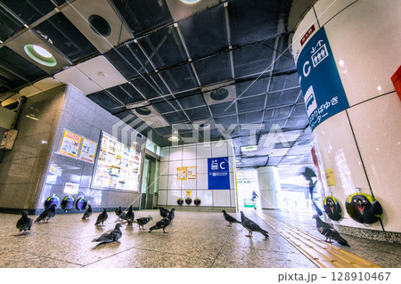 日本の東京都市景観 鳩被害対策グッズ…新宿駅西口の地下・タクシーロータリー前はハトの休憩場… 128910467