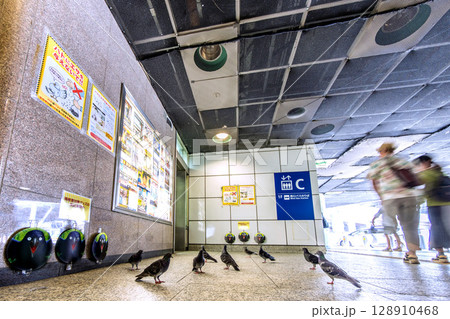 日本の東京都市景観 鳩被害対策グッズ…新宿駅西口の地下・タクシーロータリー前はハトの休憩場… 128910468