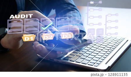 Concept of auditing the company's accounts Concept of auditing the company's accounts 128911135