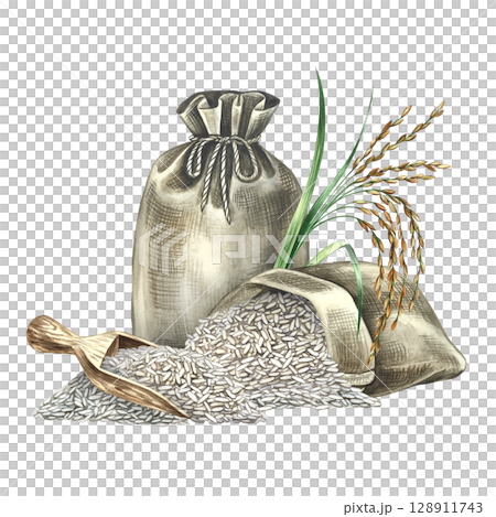 Sacks of rice, a wooden scoop, and a rice spike next to them. Hand-drawn watercolor illustration. Element of menu design, recipes, and cookbooks. For banners, flyers, packaging, labels, and more. 128911743