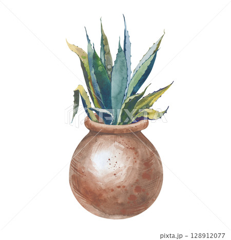 Watercolor illustration of aloe vera grown in a round clay pot. The botanical illustration is isolated on a white background. Gardening. A house plant. Clipart. 128912077