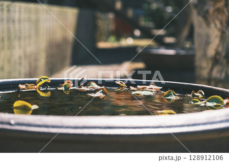 [水間寺]水に浮かぶ植物 128912106
