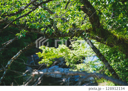 [水間寺]約1300年もの歴史を持つお寺の風景 128912134