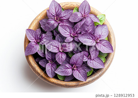 Potted basil plant with lush purple leaves on a white background. Herb in ceramic pot. Top view Potted basil plant with lush purple leaves on a white background. Herb in ceramic pot. Top view 128912953
