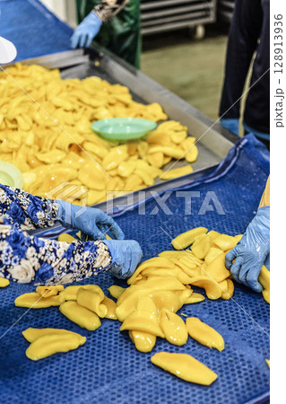 peeled mango fruit processing at food production factory in cambodia 128913936