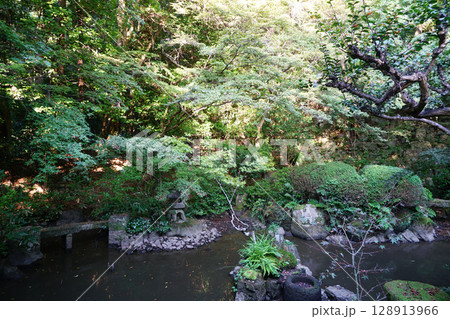 京都東山長楽寺の庭園 京都東山長楽寺の庭園 128913966