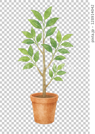 鉢植えの観葉植物の水彩イラスト(切り抜き素材) 鉢植えの観葉植物の水彩イラスト(切り抜き素材) 128914042