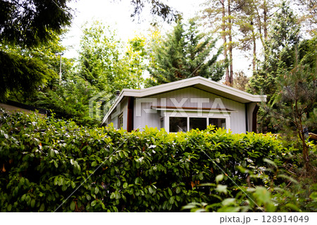 Cozy bungalow surrounded by lush green foliage and tall trees 128914049
