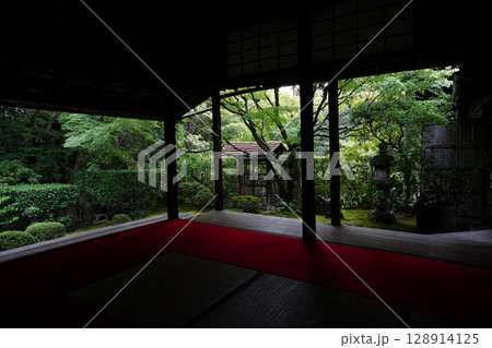 妙心寺塔頭桂春院の境内風景 妙心寺塔頭桂春院の境内風景 128914125
