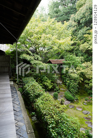 妙心寺塔頭桂春院の境内風景 128914129
