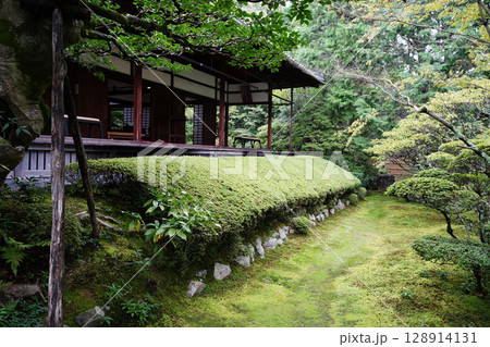 妙心寺塔頭桂春院の境内風景 妙心寺塔頭桂春院の境内風景 128914131