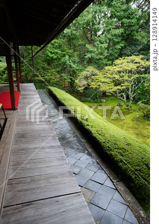 妙心寺塔頭桂春院の境内風景 妙心寺塔頭桂春院の境内風景 128914149