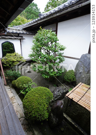 妙心寺塔頭桂春院の境内風景 妙心寺塔頭桂春院の境内風景 128914153