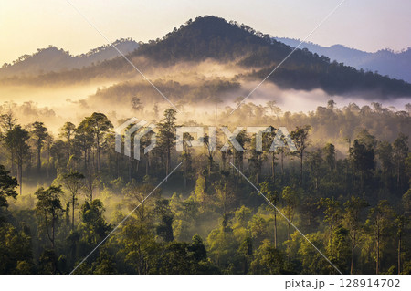 Majestic mountains rise above misty forest at sunrise, creating a serene natural landscape 128914702