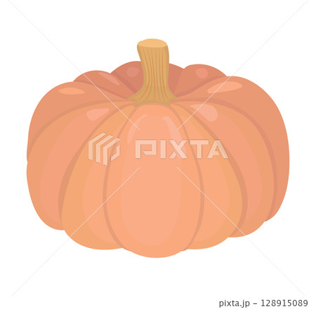 Appetizing orange pumpkin, fall vegetable, vector color illustration Appetizing orange pumpkin, fall vegetable, vector color illustration 128915089